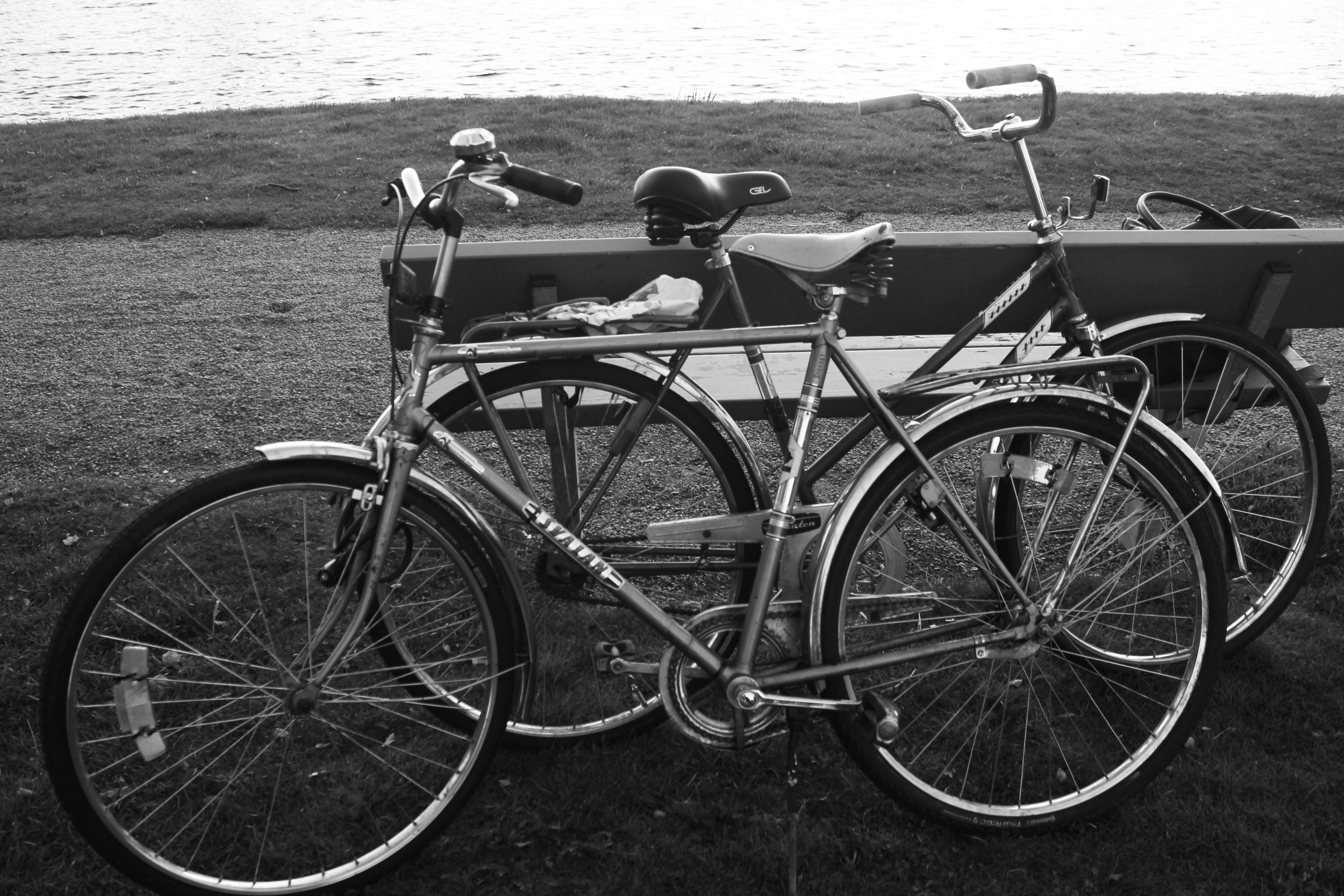 Velo d occasion pas cher