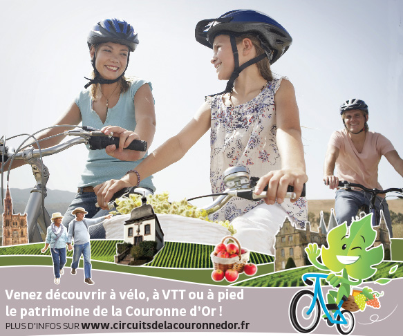 Boutique velo occasion strasbourg