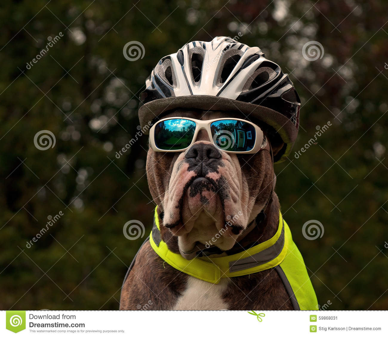 Casque de velo en anglais