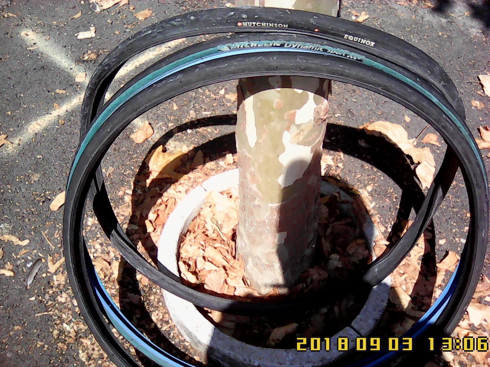 Vente velo elliptique occasion