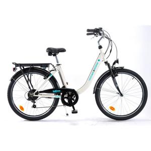 Velo electrique adulte occasion