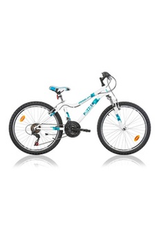 Velo electrique eagle 015