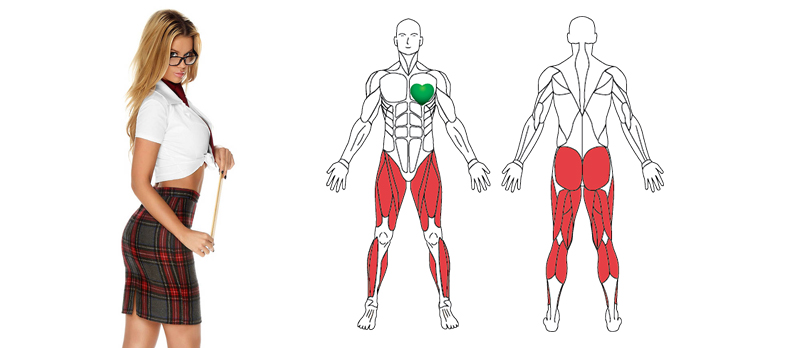 Quel muscle travaille avec le velo d appartement