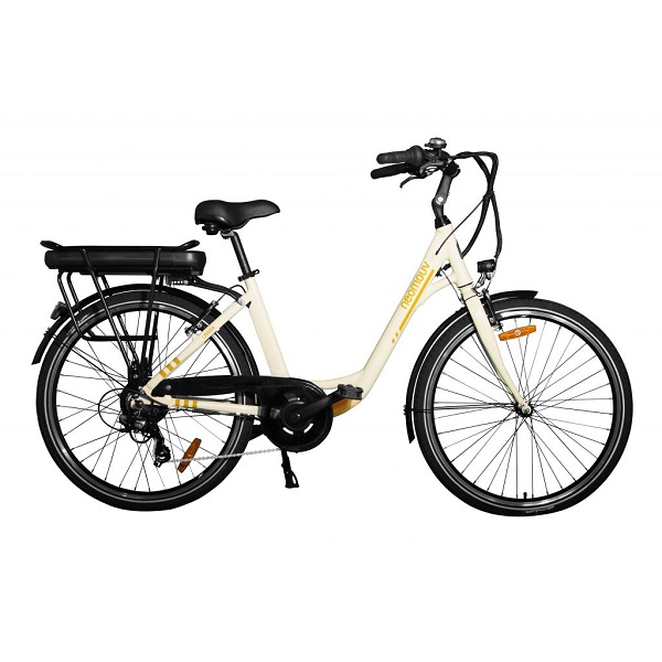 Velo electrique 13ah