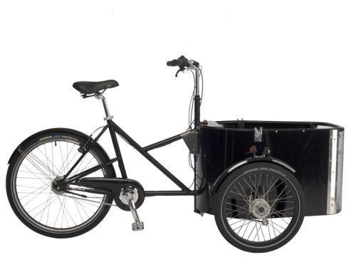 Velo triporteur occasion
