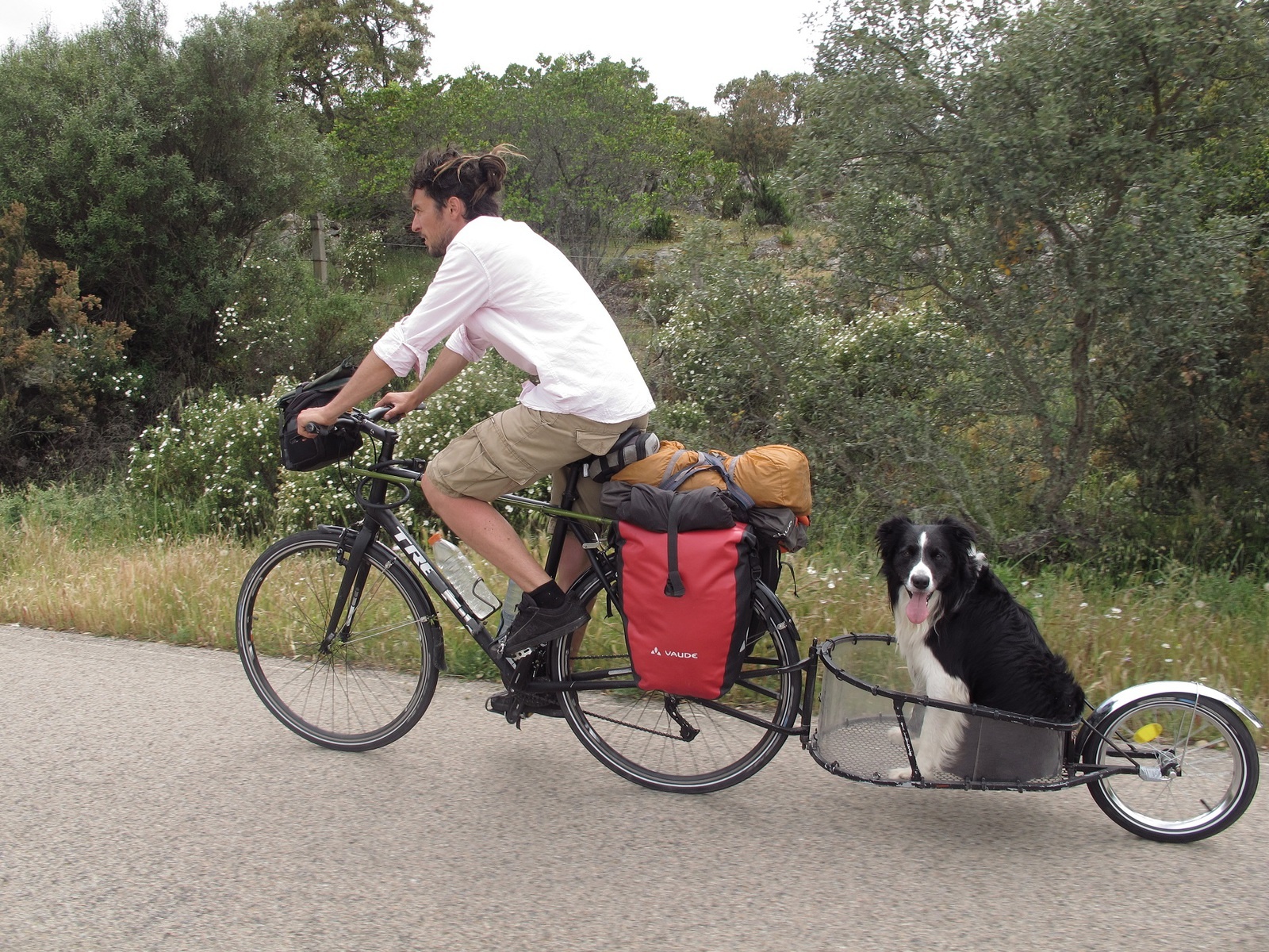 Panier chien velo occasion