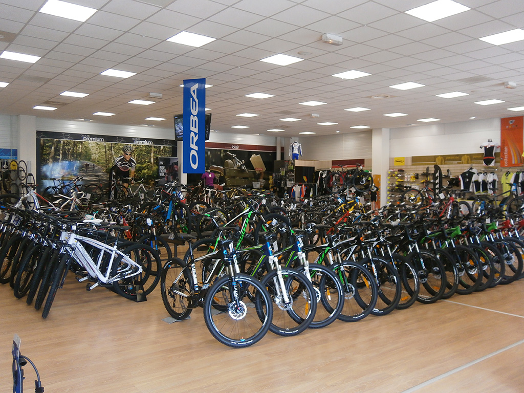 Culture velo ales occasion