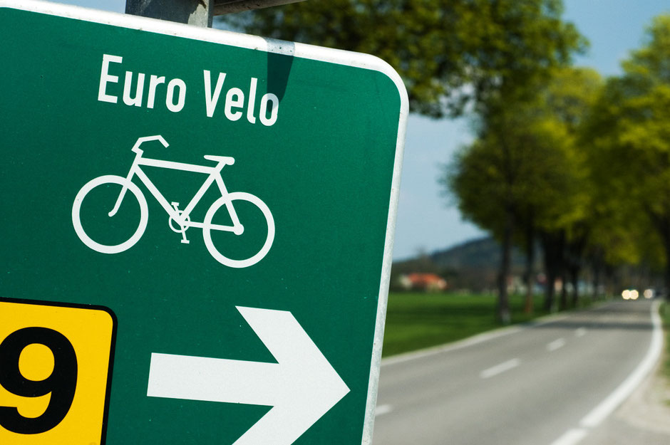 Velo occasion pays bas