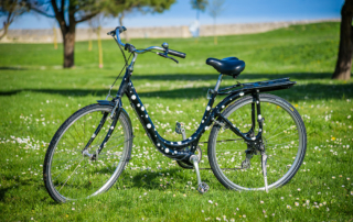 Nacelle velo occasion