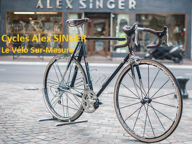 Velo alex singer occasion