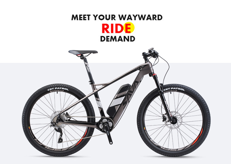 Velo electrique 36v 14ah