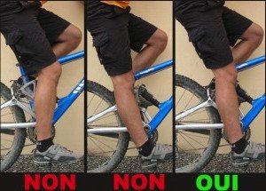 Perdre graisse ventre velo appartement