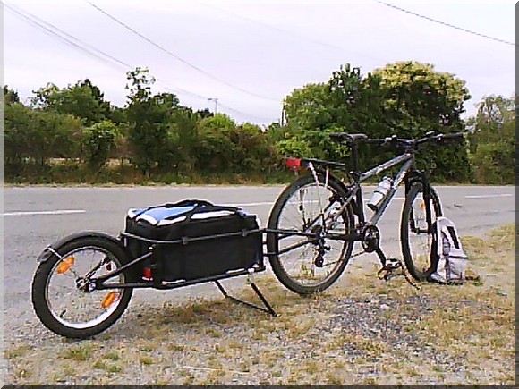 Remorque pour vélo occasion