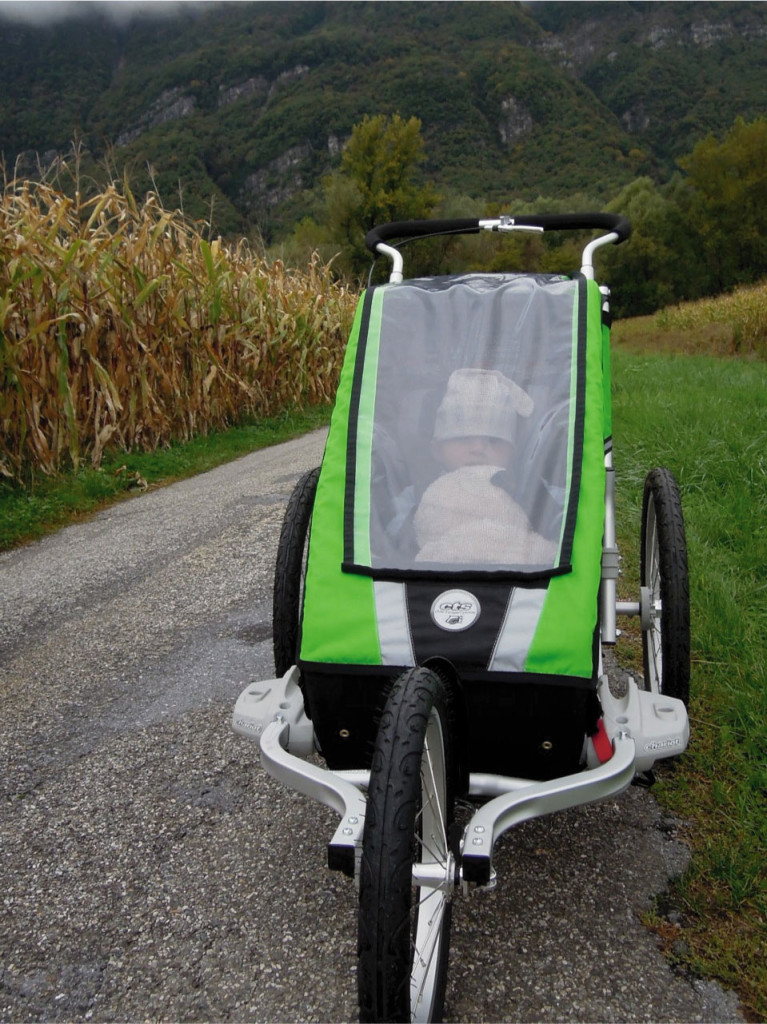 Remorque vélo chariot occasion
