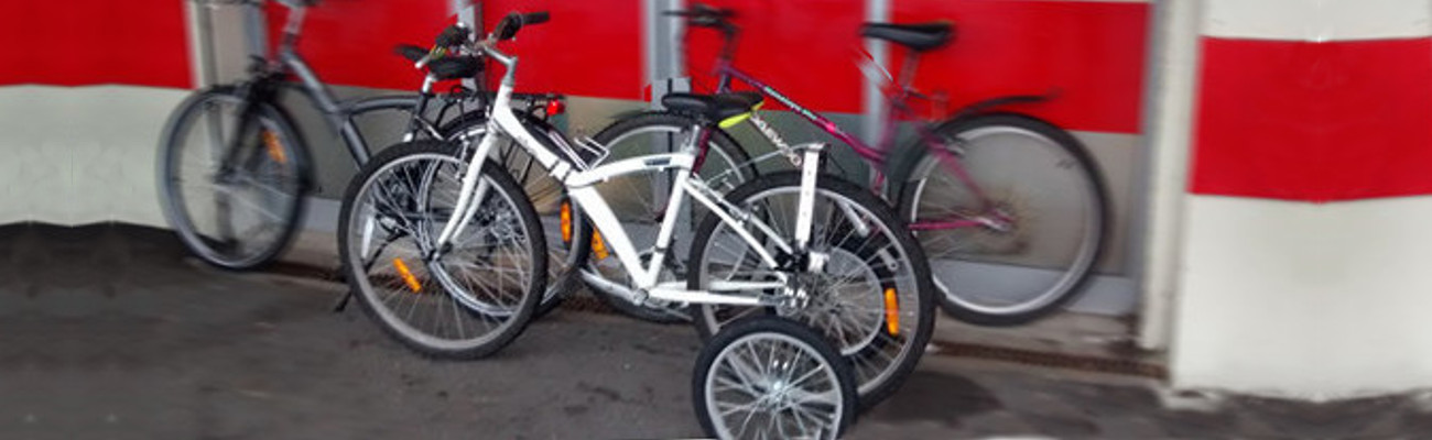 Stabilisateur velo adulte occasion