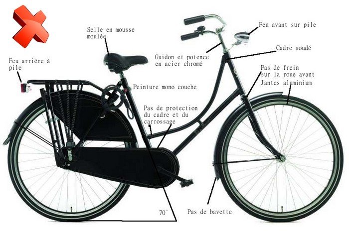 Velo hollandais occasion pas cher