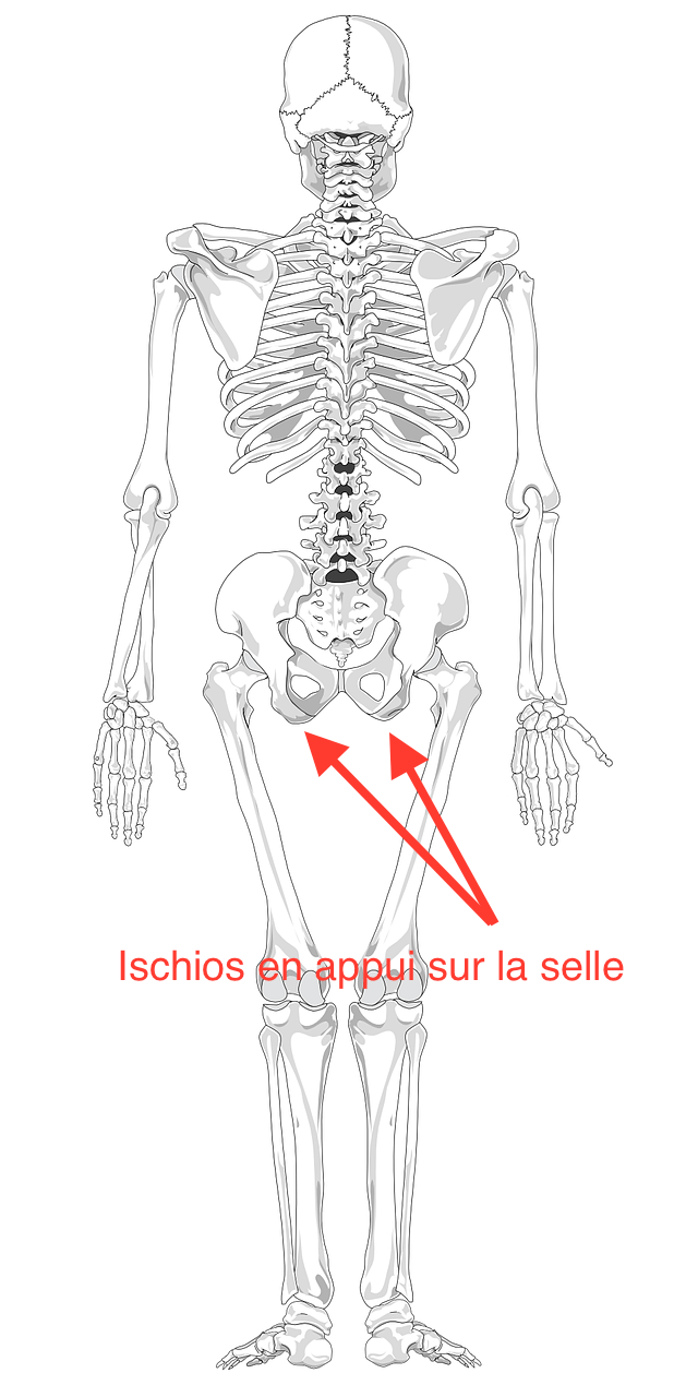 Velo appartement mal au fesse