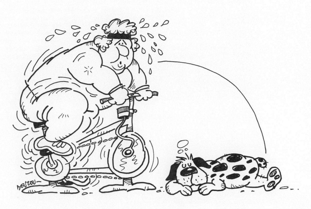 Velo appartement humour