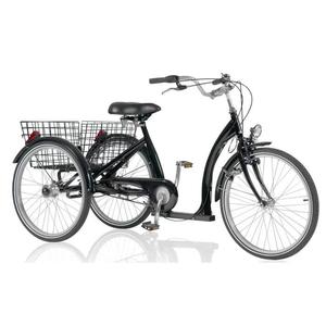 Velo electrique 3 roues occasion
