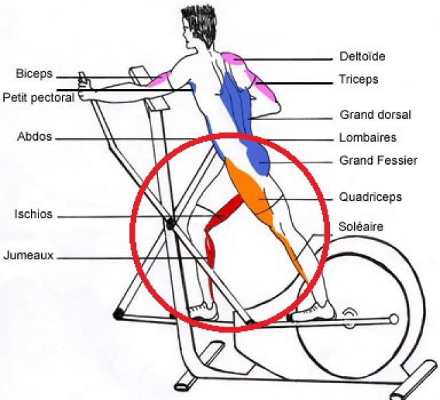 Difference velo appartement et elliptique