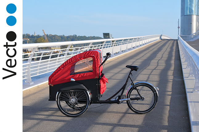 Velo triporteur occasion bordeaux