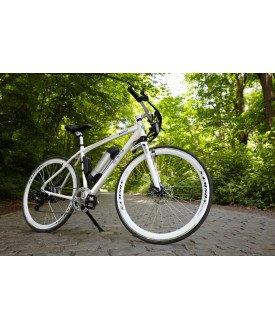 Velo electrique 250w e-bike femme