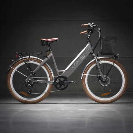 Velo electrique wattitud