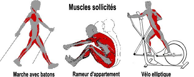 Perdre du ventre velo appartement