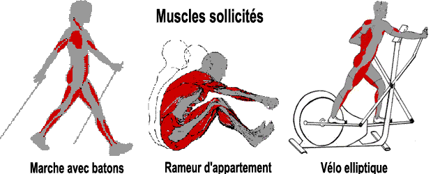 Que muscle le velo appartement
