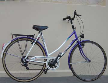 Velo hollandais occasion le bon coin