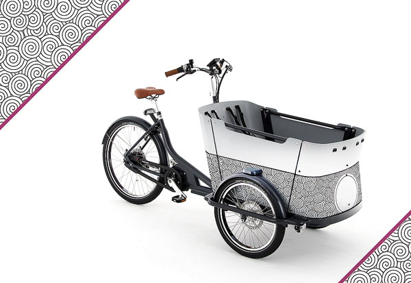 Triporteur velo occasion
