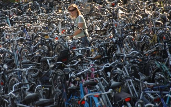 Vélo hollandais d'occasion lille