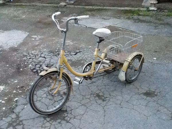 Velo tricycle adulte occasion