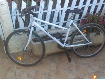 Velo occasion vaucluse