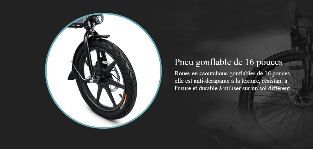 Fiido d2 vélo electrique pliant