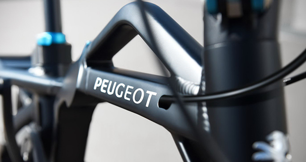 Vélo pliant à assistance électrique ef01