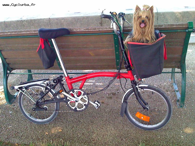 Vélo électrique pliant bh emotion volt