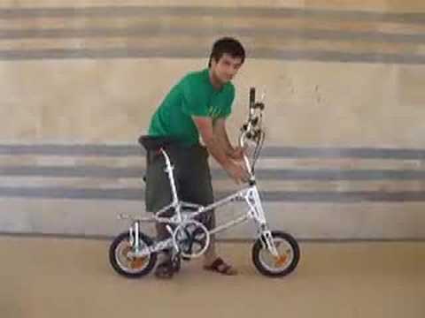 Gekko velo pliant