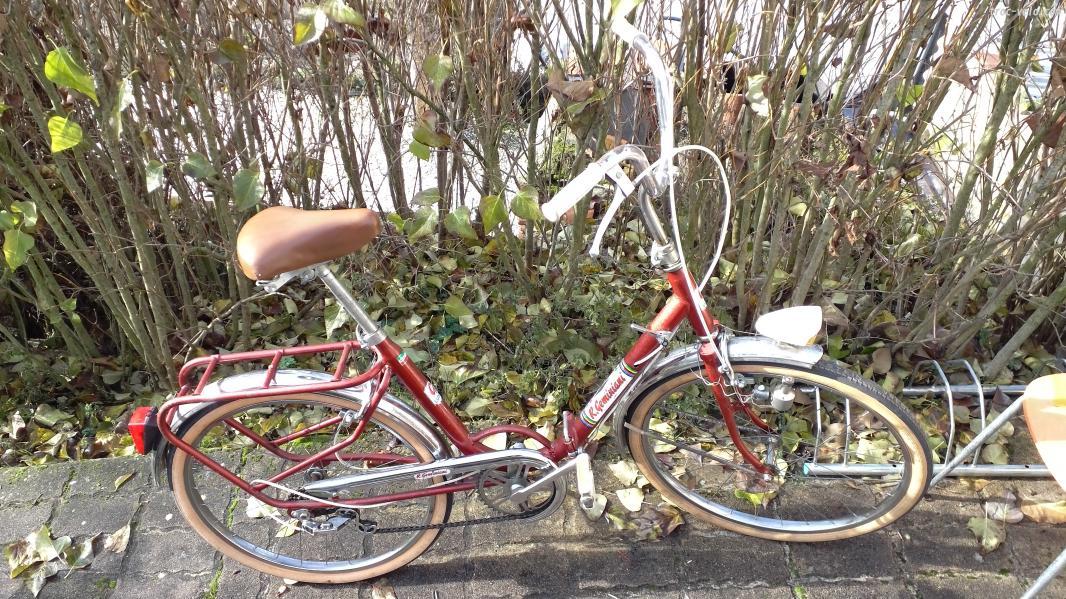 Velo pliant geminiani