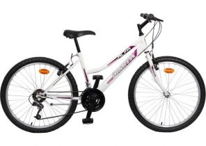 Velo pliant 24 pouces occasion