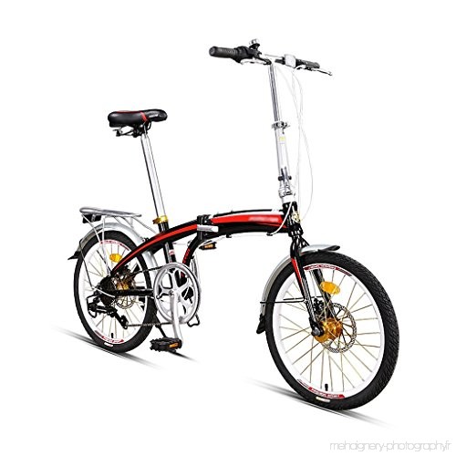 Velo pliant adulte leger